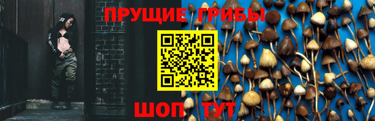 Галлюциногенные грибы ЛСД Кирово-Чепецк