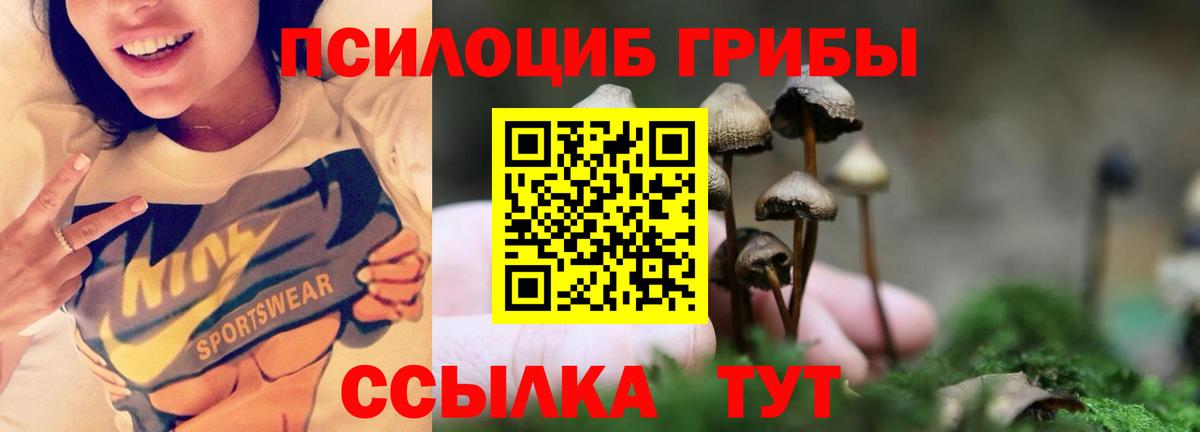 Галлюциногенные грибы Cubensis  Вход с VPN  Кирово-Чепецк 